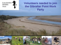 Volunteer at your local nature reserve...