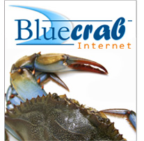 Bluecrab Internet - Professional Web Solutions